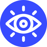 Our Vision Icon